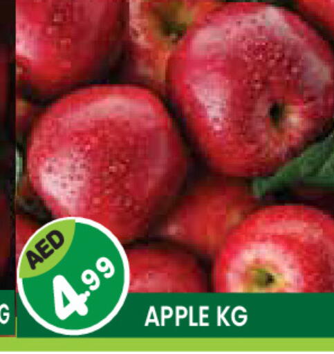 Apple available at Baniyas Spike  in UAE - Ras al Khaimah