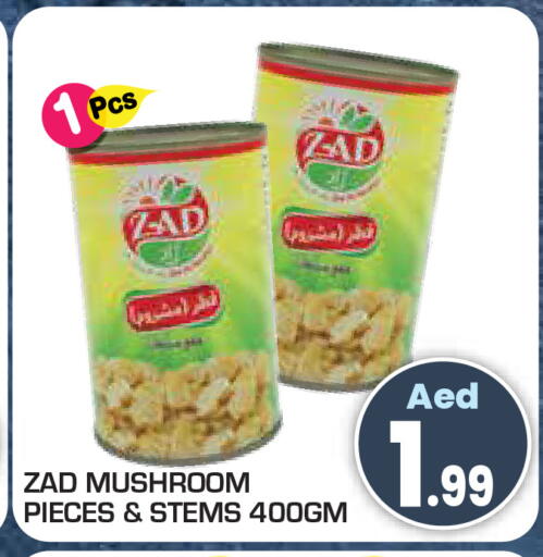 Mushroom available at Baniyas Spike  in UAE - Umm al Quwain