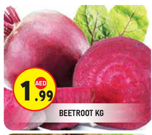 Beetroot available at سنابل بني ياس in الإمارات العربية المتحدة , الامارات - ٱلْعَيْن‎