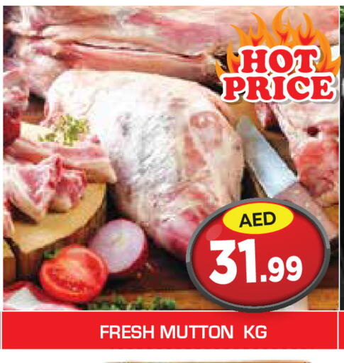 available at سنابل بني ياس in الإمارات العربية المتحدة , الامارات - أم القيوين‎