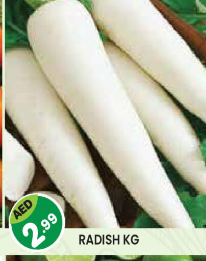 Radish available at Baniyas Spike  in UAE - Umm al Quwain