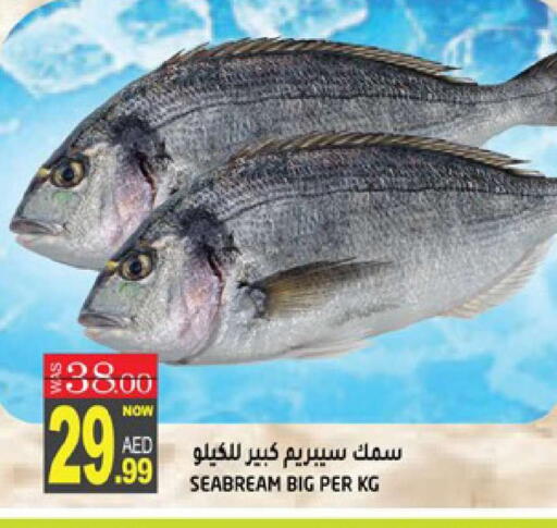 available at هاشم هايبرماركت in الإمارات العربية المتحدة , الامارات - الشارقة / عجمان