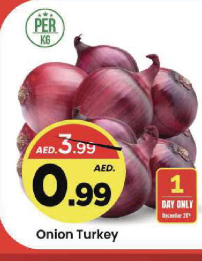 Onion from Turkey available at مارك & سيف in الإمارات العربية المتحدة , الامارات - الشارقة / عجمان