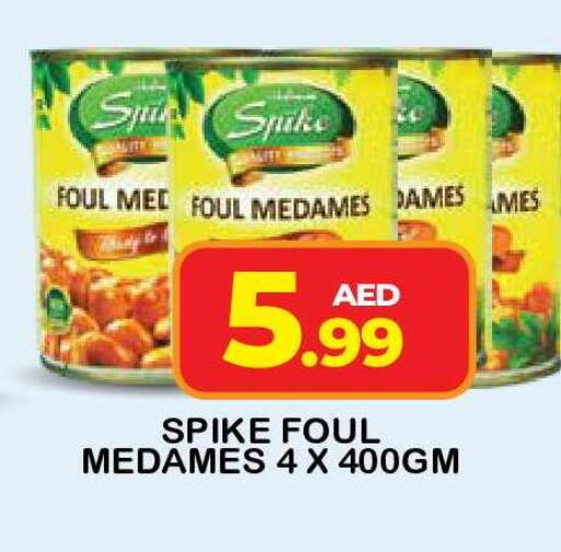 available at فريش سبايك سوبرماركت in الإمارات العربية المتحدة , الامارات - دبي