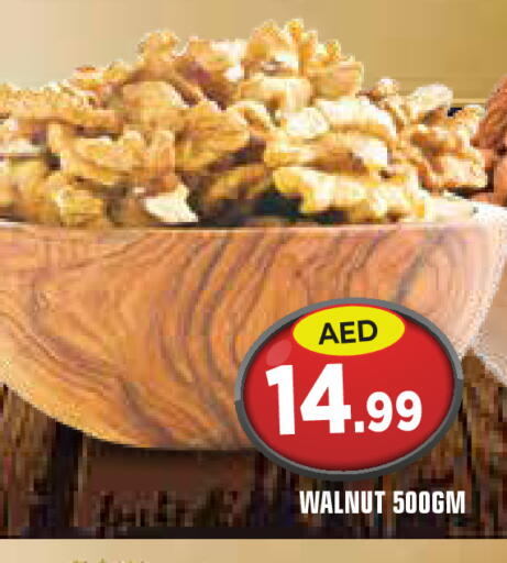 available at سنابل بني ياس in الإمارات العربية المتحدة , الامارات - أم القيوين‎