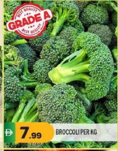 Broccoli available at بيج مارت in الإمارات العربية المتحدة , الامارات - دبي