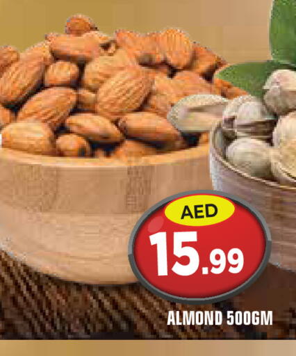 available at سنابل بني ياس in الإمارات العربية المتحدة , الامارات - أم القيوين‎