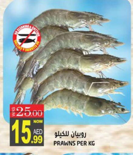 available at هاشم هايبرماركت in الإمارات العربية المتحدة , الامارات - الشارقة / عجمان