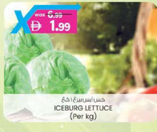 Lettuce available at ك. الم. للتجارة in الإمارات العربية المتحدة , الامارات - الشارقة / عجمان