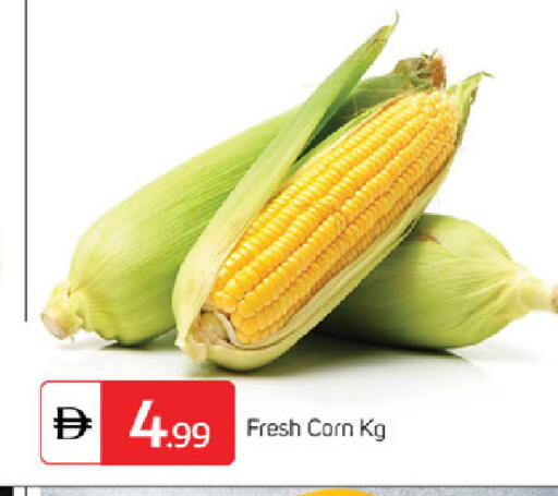 available at سوق طلال in الإمارات العربية المتحدة , الامارات - الشارقة / عجمان