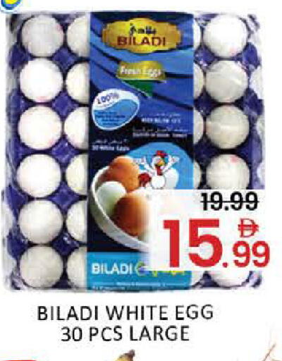 Mango available at Mango Hypermarket LLC in UAE - Dubai