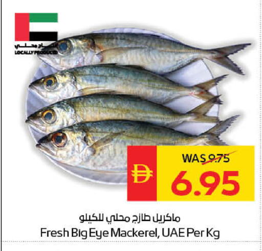 available at سبار هايبرماركت in الإمارات العربية المتحدة , الامارات - ٱلْعَيْن‎