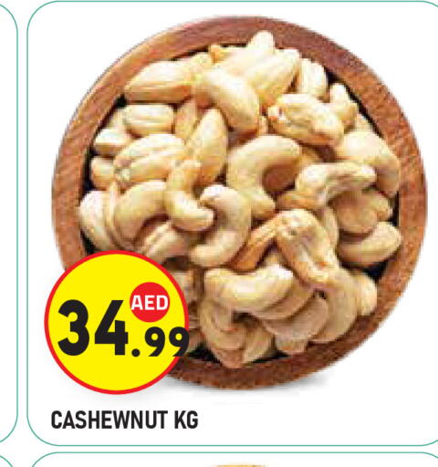 available at سنابل بني ياس in الإمارات العربية المتحدة , الامارات - ٱلْعَيْن‎