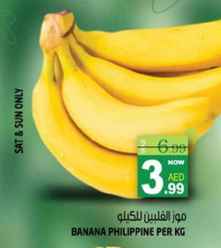 Banana from Philippines available at هاشم هايبرماركت in الإمارات العربية المتحدة , الامارات - الشارقة / عجمان