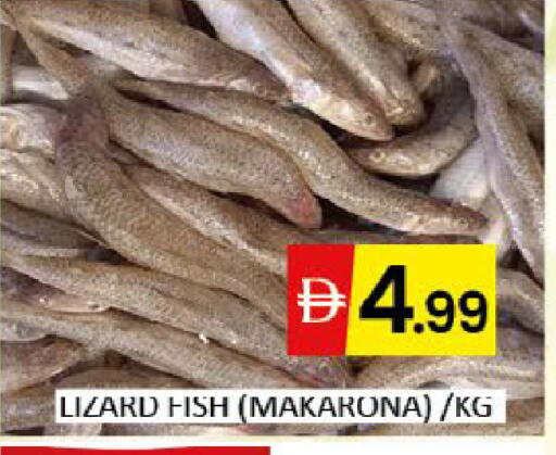 Mango available at مانجو هايبرماركت in الإمارات العربية المتحدة , الامارات - دبي