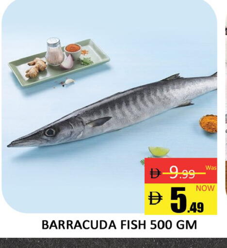 available at المدينة in الإمارات العربية المتحدة , الامارات - دبي