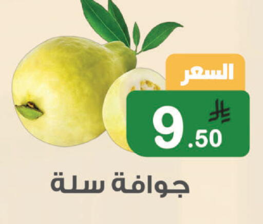available at أسواق الرشيد in مملكة العربية السعودية, السعودية, سعودية - الرياض