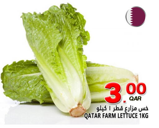 Lettuce from Qatar available at قصر الأغذية هايبرماركت in قطر - الخور