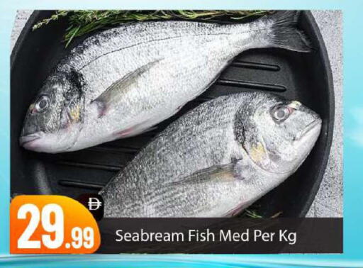 available at BIGmart in UAE - Abu Dhabi