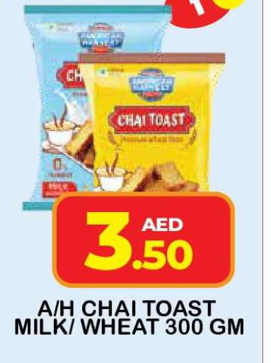 available at فريش سبايك سوبرماركت in الإمارات العربية المتحدة , الامارات - دبي