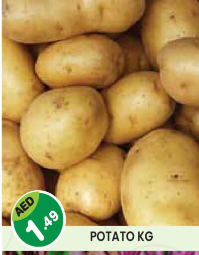 Potato available at Baniyas Spike  in UAE - Umm al Quwain