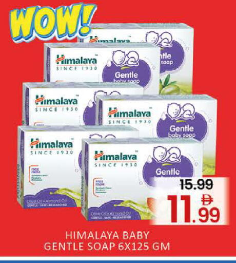 Mango available at Mango Hypermarket LLC in UAE - Dubai