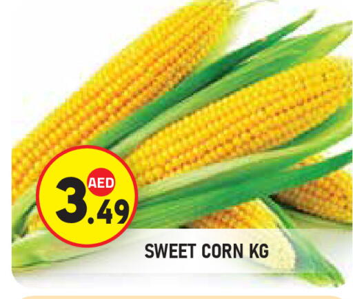 available at سنابل بني ياس in الإمارات العربية المتحدة , الامارات - ٱلْعَيْن‎