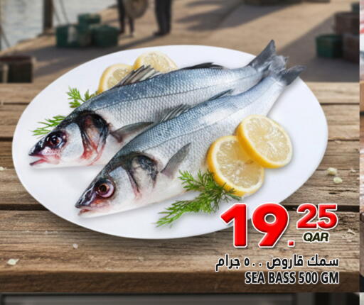 available at قصر الأغذية هايبرماركت in قطر - الدوحة