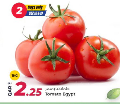 Tomato from Egypt available at روابي هايبرماركت in قطر - الدوحة