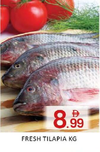 Mango available at مانجو هايبرماركت in الإمارات العربية المتحدة , الامارات - دبي