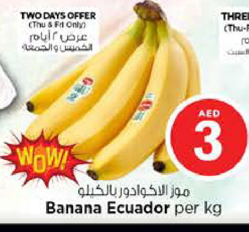 Banana from Ecuador available at نستو هايبرماركت in الإمارات العربية المتحدة , الامارات - رَأْس ٱلْخَيْمَة