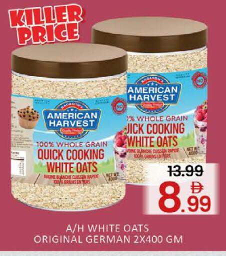 Mango available at مانجو هايبرماركت in الإمارات العربية المتحدة , الامارات - دبي