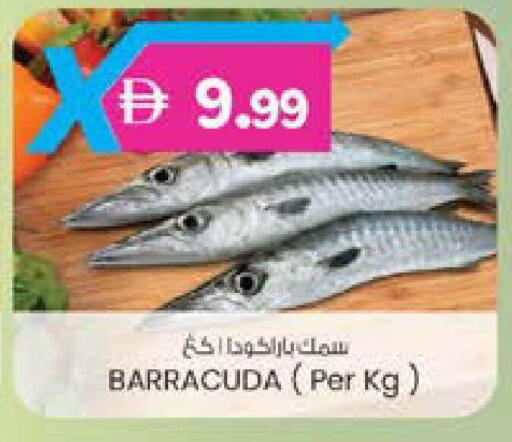 available at K M Trading  in UAE - Fujairah