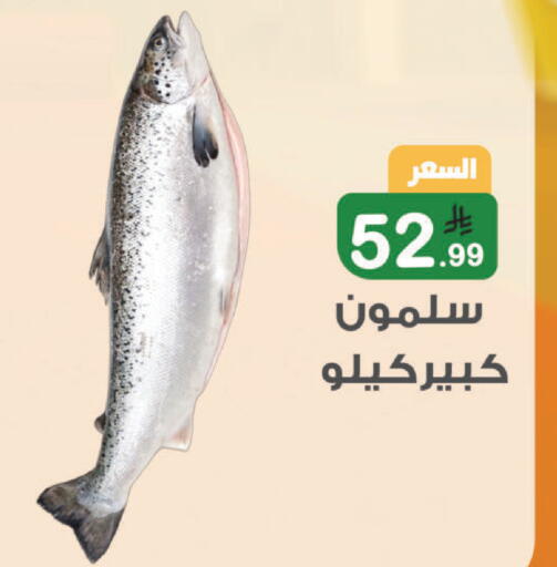 available at أسواق الرشيد in مملكة العربية السعودية, السعودية, سعودية - الرياض