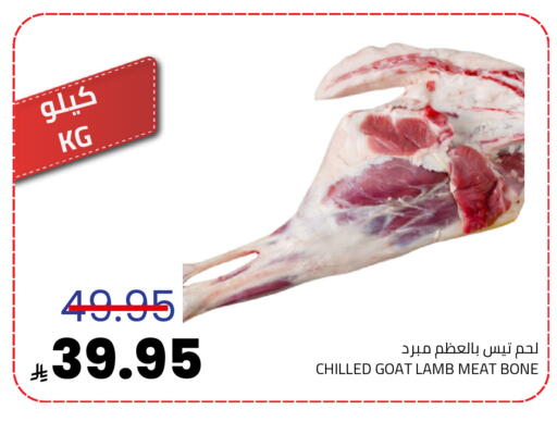 available at أسواق أسترا in مملكة العربية السعودية, السعودية, سعودية - تبوك