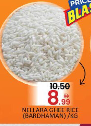 Mango available at مانجو هايبرماركت in الإمارات العربية المتحدة , الامارات - دبي