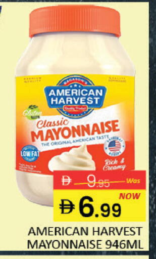 Mango available at مانجو هايبرماركت in الإمارات العربية المتحدة , الامارات - دبي