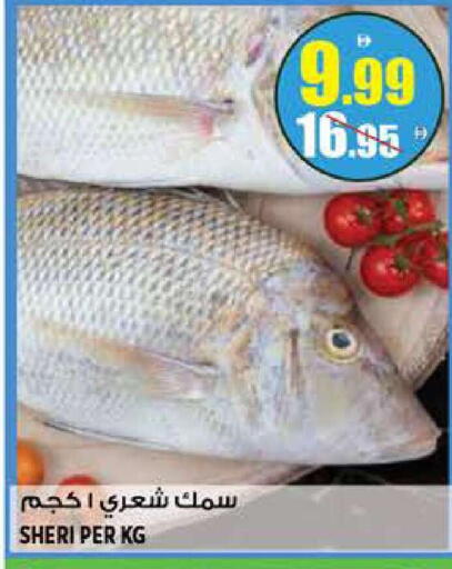 available at هاشم هايبرماركت in الإمارات العربية المتحدة , الامارات - الشارقة / عجمان