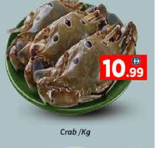 available at ايكو مول & ايكو هايبرماركت in الإمارات العربية المتحدة , الامارات - دبي