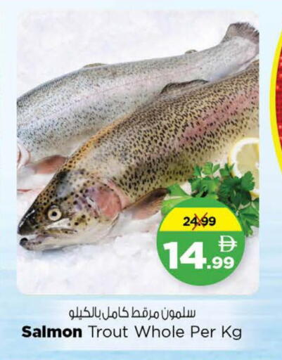 available at Nesto Hypermarket in UAE - Dubai