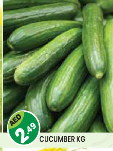 Cucumber available at Baniyas Spike  in UAE - Umm al Quwain