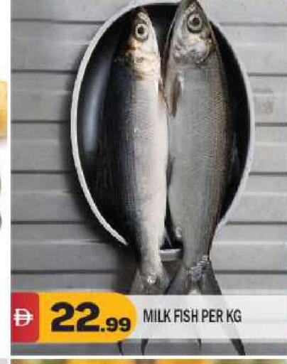 available at BIGmart in UAE - Abu Dhabi