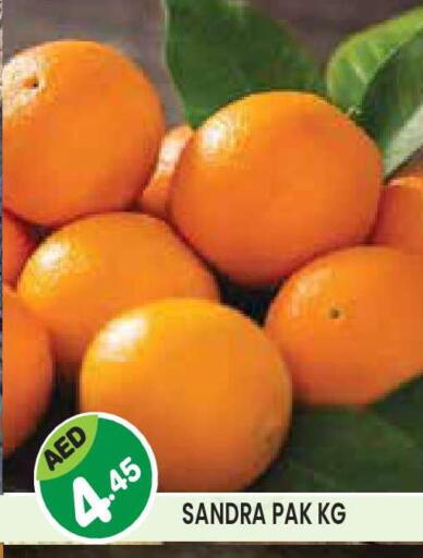 available at سنابل بني ياس in الإمارات العربية المتحدة , الامارات - أبو ظبي