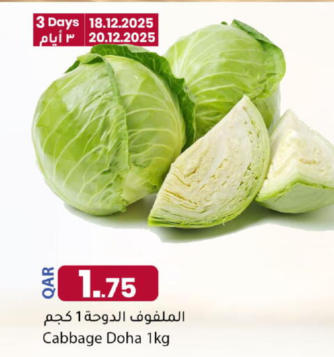 Cabbage from Qatar available at Dana Market in Qatar - Al Daayen
