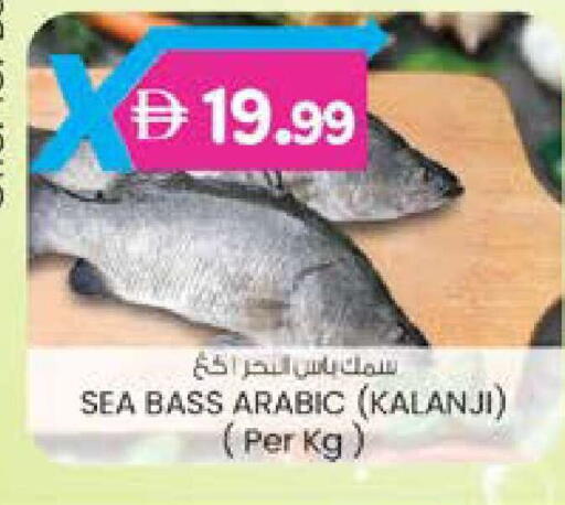 available at K M Trading  in UAE - Fujairah