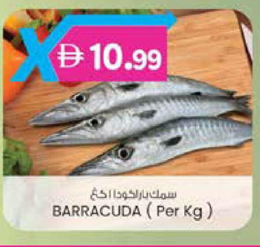 available at ك. إم. هايبرماركت in الإمارات العربية المتحدة , الامارات - الشارقة / عجمان