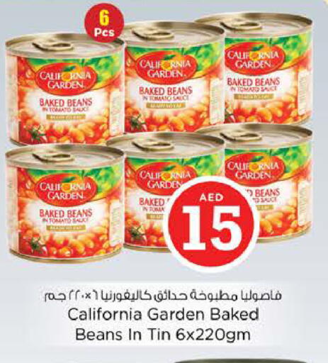 Tomato available at نستو هايبرماركت in الإمارات العربية المتحدة , الامارات - رَأْس ٱلْخَيْمَة