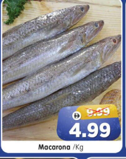 available at هايبر ماركت المدينة in الإمارات العربية المتحدة , الامارات - أبو ظبي