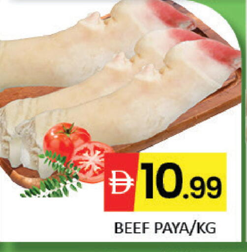 Mango available at مانجو هايبرماركت in الإمارات العربية المتحدة , الامارات - دبي