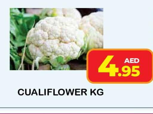 available at فريش سبايك سوبرماركت in الإمارات العربية المتحدة , الامارات - دبي